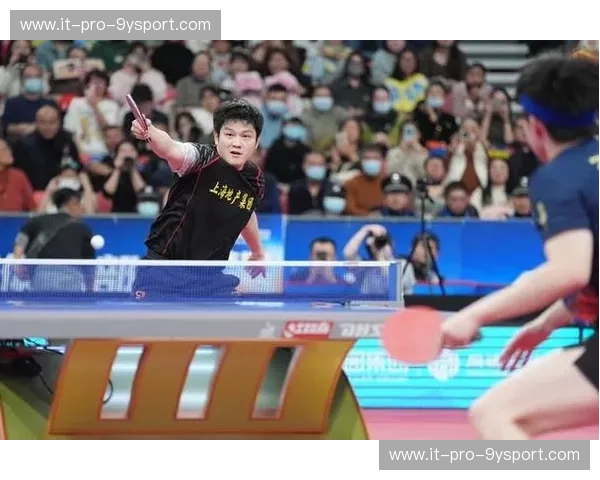 巅峰博弈：当“辽北风暴”遇上“青春之岛”，这场CBA博弈谁能主宰浮沉？